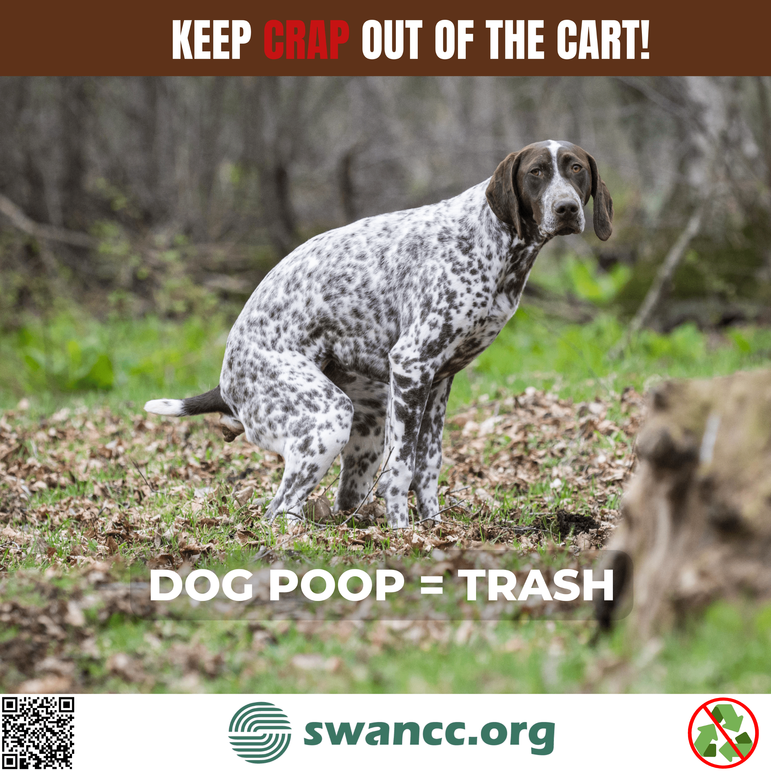 Dog Poop = Trash