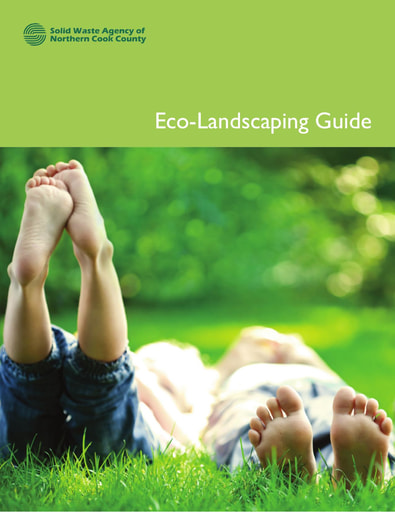 Eco-Landscaping Guide